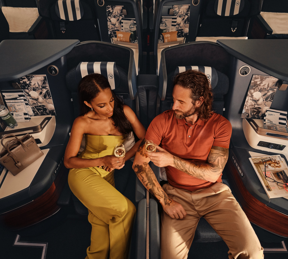 Couple toasting wine in luxury airplane seats
